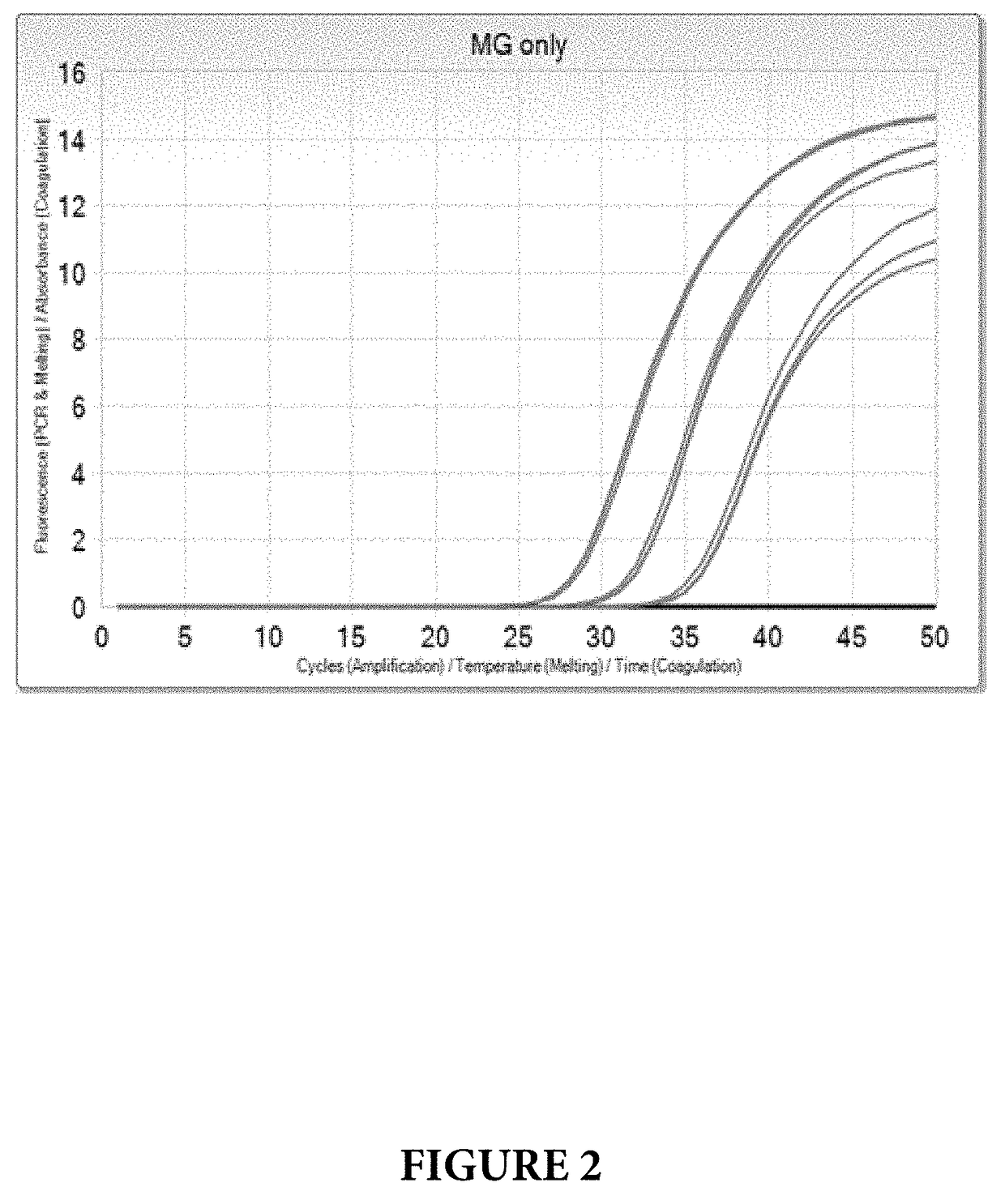 Compositions and methods for detection of mycoplasma genitalium