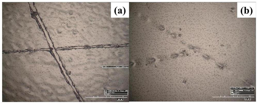 Preparation method of photoresponsive cellulose nanocrystal/fluorine-containing polyacrylate self-healing material