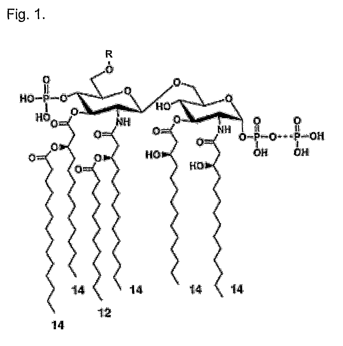 Enzymatic degradation of lipid A fatty acids of bacterial LPS