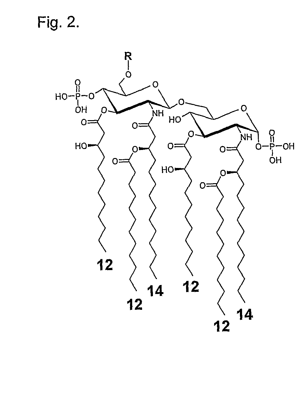 Enzymatic degradation of lipid A fatty acids of bacterial LPS