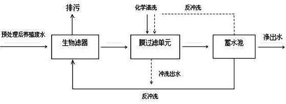 Technology for treatment of mariculture circulating water of biological filter and membrane filtration