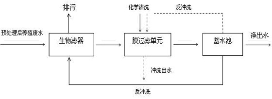 Technology for treatment of mariculture circulating water of biological filter and membrane filtration