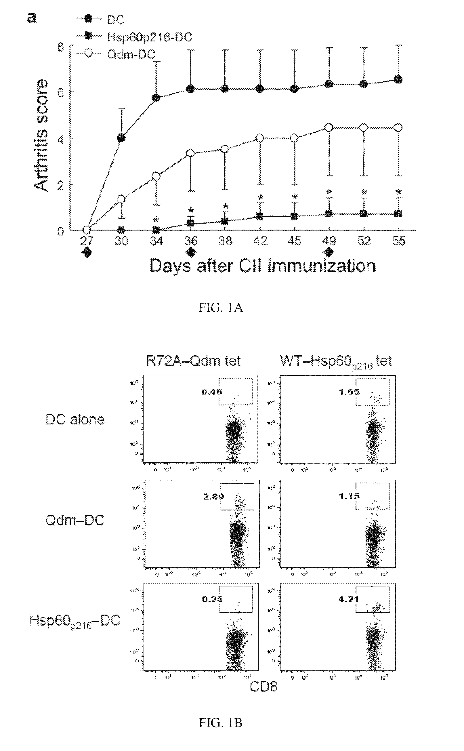 Targeted expansion of qa-1-peptide-specific regulatory cd8 t cells to ameliorate arthritis