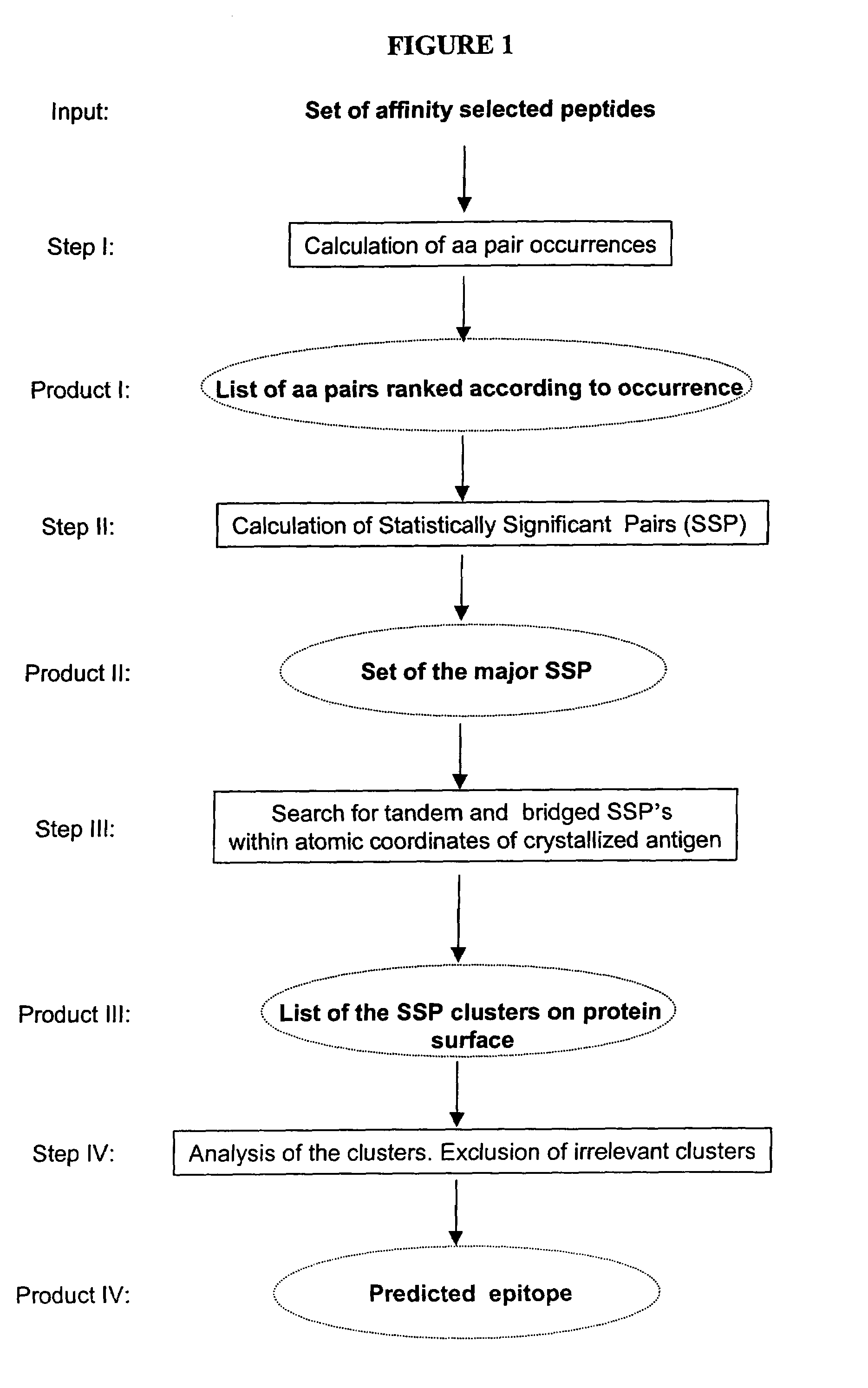 Mapping and reconstitution of a conformational discontinuous binding surface