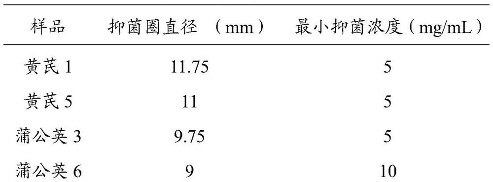 Method for rapidly evaluating in-vitro antagonistic helicobacter pylori activity