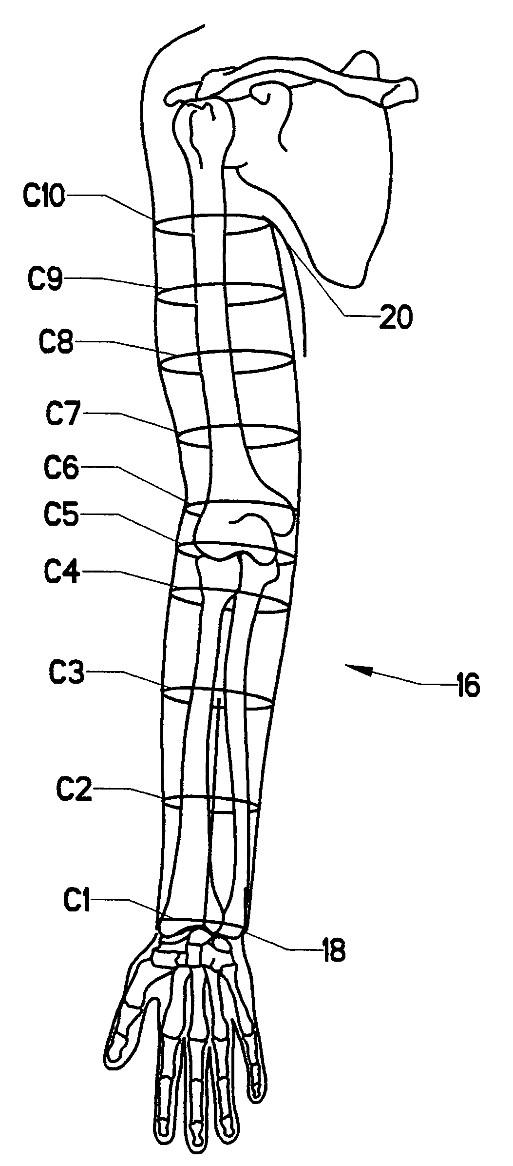 Method for physiological volume measurement and analysis for body volume visualization