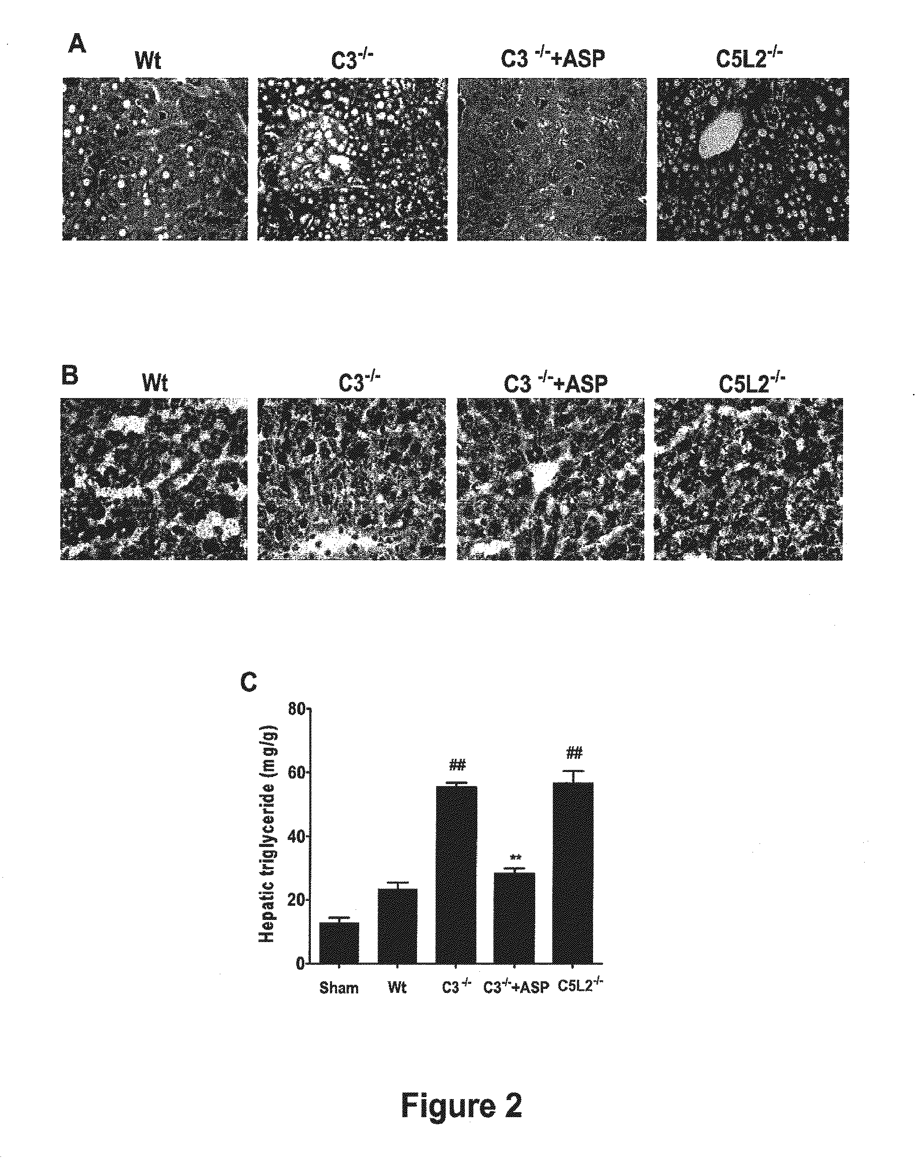 Methods of stimulating liver regeneration