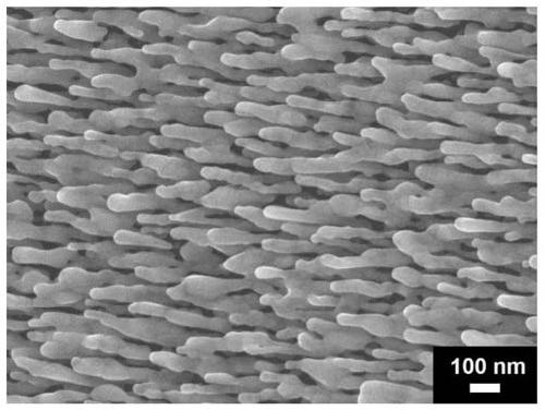 A method for preparing surface-enhanced Raman substrates by improving the binding force of membrane substrates