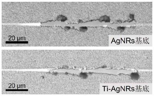 A method for preparing surface-enhanced Raman substrates by improving the binding force of membrane substrates