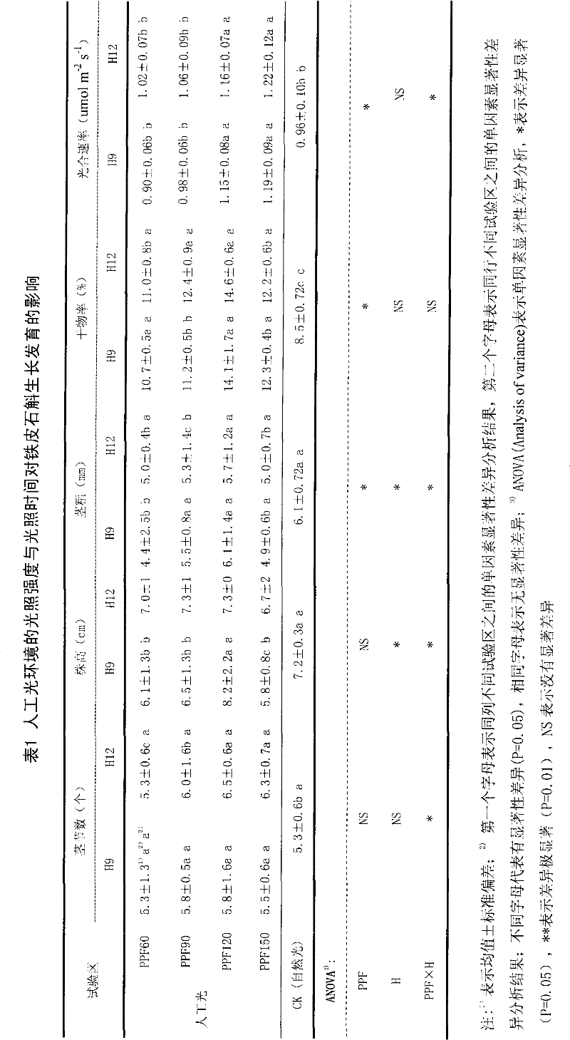 Artificial light cultivating method of dendrobium candidum