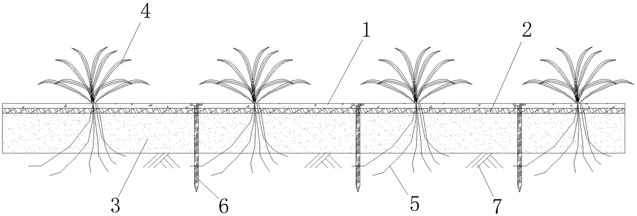 Soil-reinforcement water-conservation grass-planting construction method