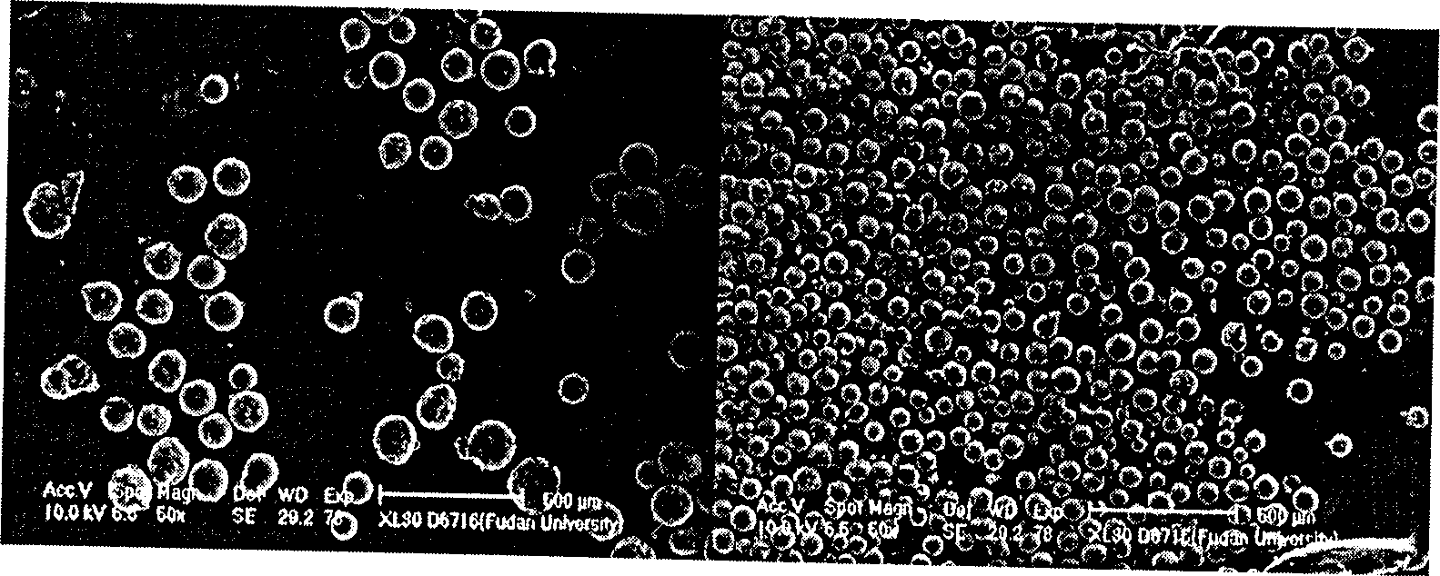 Preparation of zeolite/mullite composite hollow microsphere by using fly-ash hollow microbead