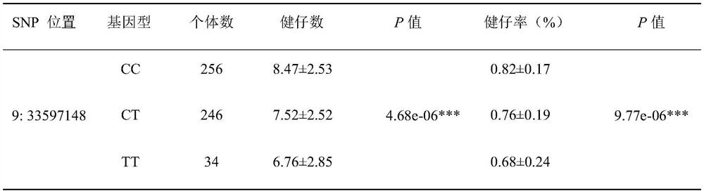 SNP molecular marker located on pig chromosome 9 and related to healthy piglet number and healthy piglet rate and application of SNP molecular marker