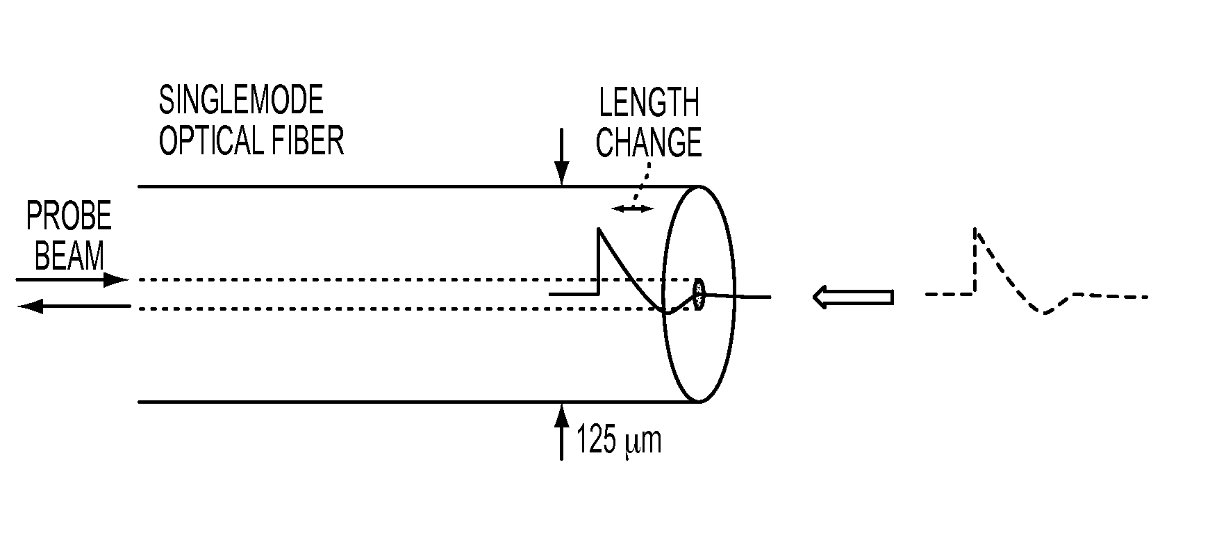 Fiber optic sensor and method for detecting shock wave pressure and mass velocity in solid media