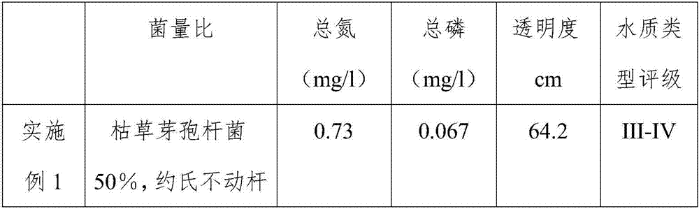 Microecological preparation and preparation method thereof