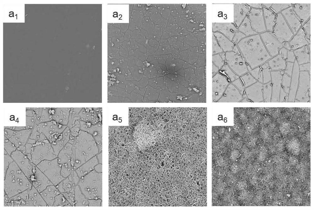 Antibacterial and anticoagulant coating material with super-hydrophilic capacity as well as preparation method and application of antibacterial and anticoagulant coating material