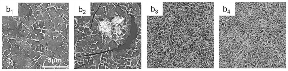 Antibacterial and anticoagulant coating material with super-hydrophilic capacity as well as preparation method and application of antibacterial and anticoagulant coating material