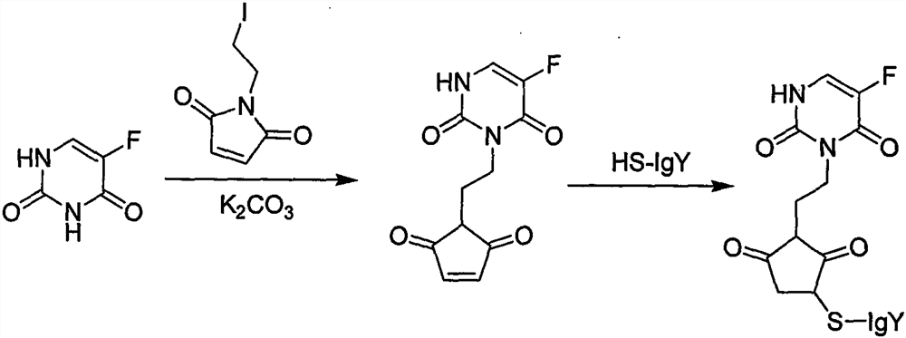 Preparation method of intestinal cancer cell-immunized poultry-obtained IgY antibody-coupled broad-spectrum anticancer drug aiming at intestinal cancer and application of drug in prevention and treatment of intestinal cancer