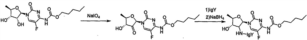 Preparation method of intestinal cancer cell-immunized poultry-obtained IgY antibody-coupled broad-spectrum anticancer drug aiming at intestinal cancer and application of drug in prevention and treatment of intestinal cancer