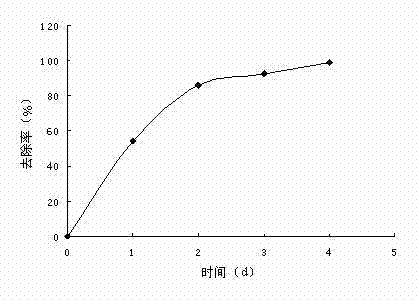 Method for preparing biological expanded graphite for in-situ repair of petroleum polluted water body