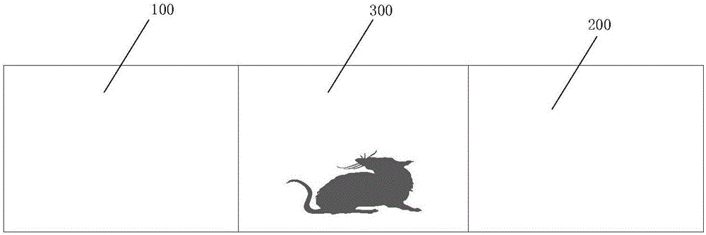 Device and method for fear test