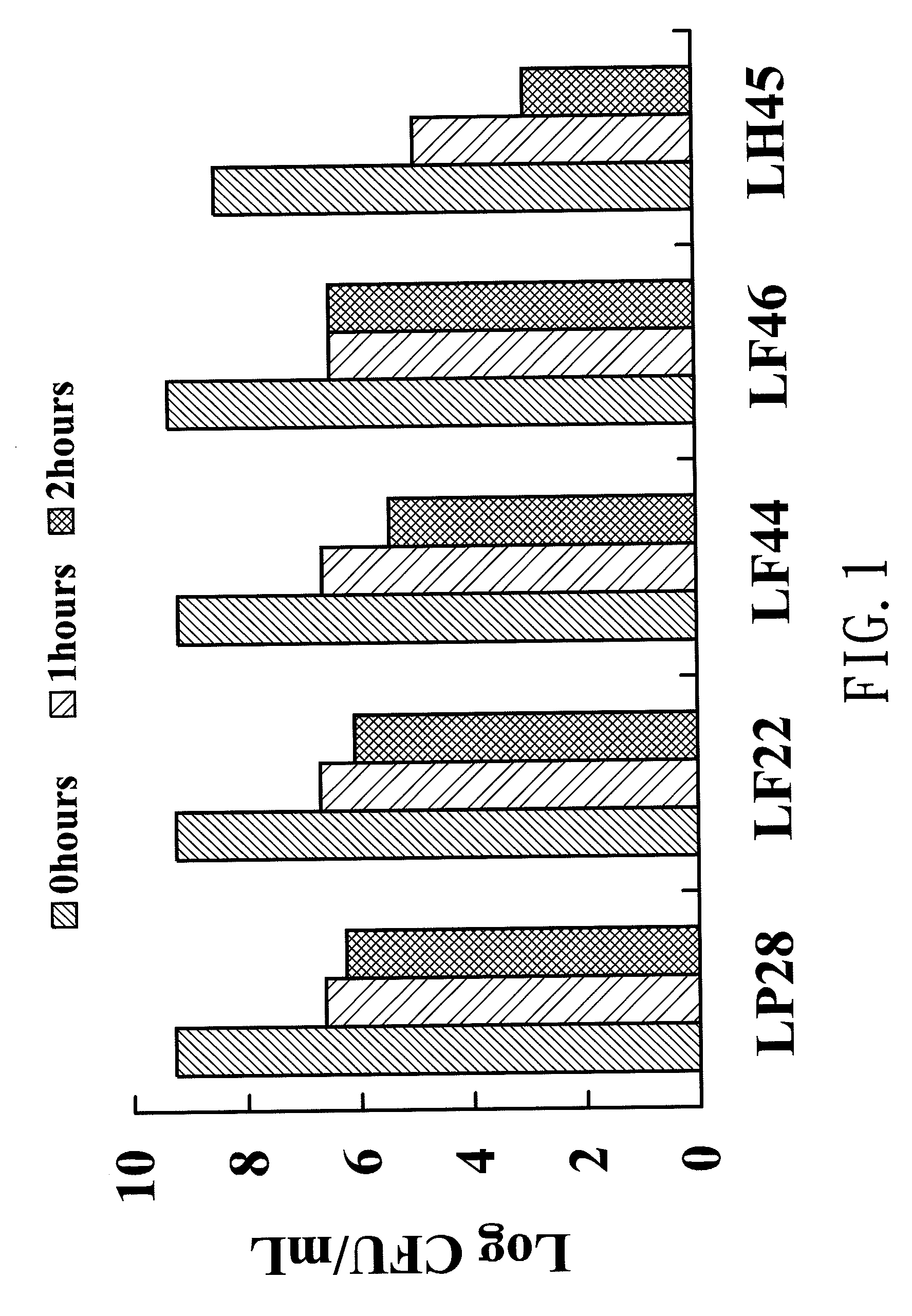 Strain of lactobacillus plantarum lp28 and its use in treating hypersensitivity reactions