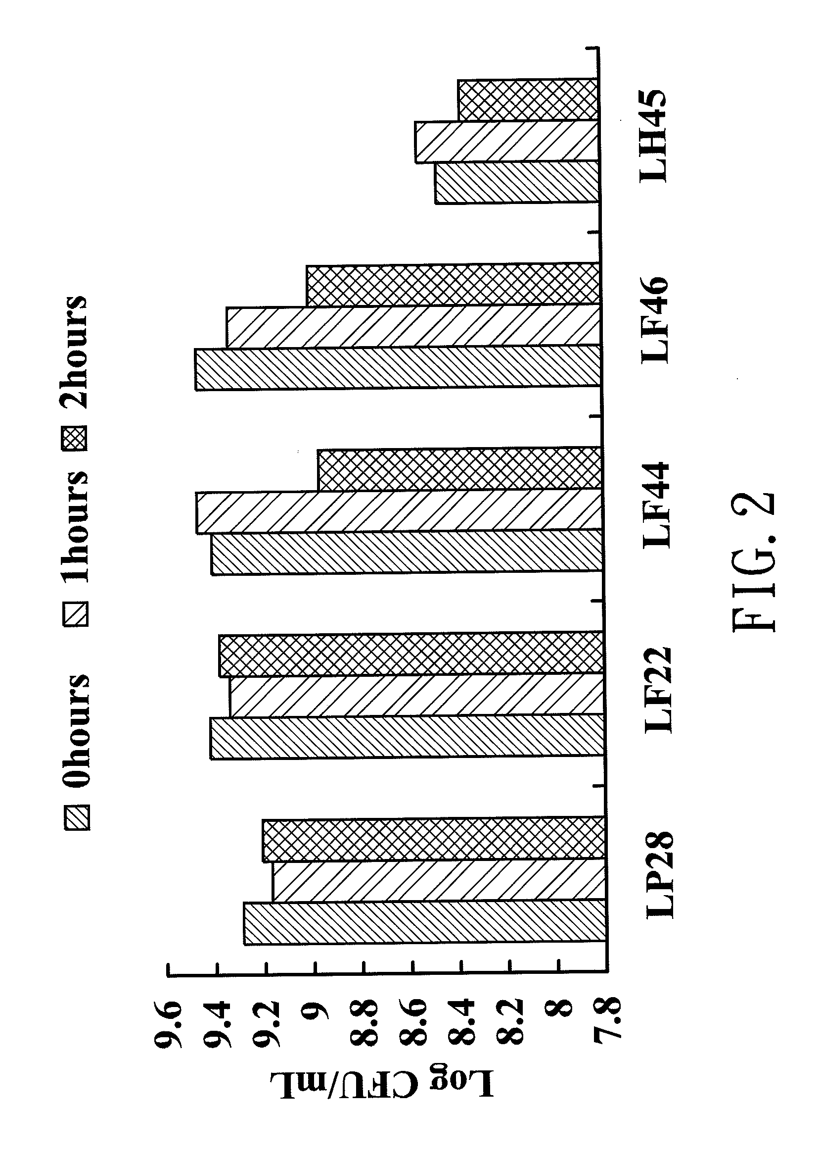 Strain of lactobacillus plantarum lp28 and its use in treating hypersensitivity reactions