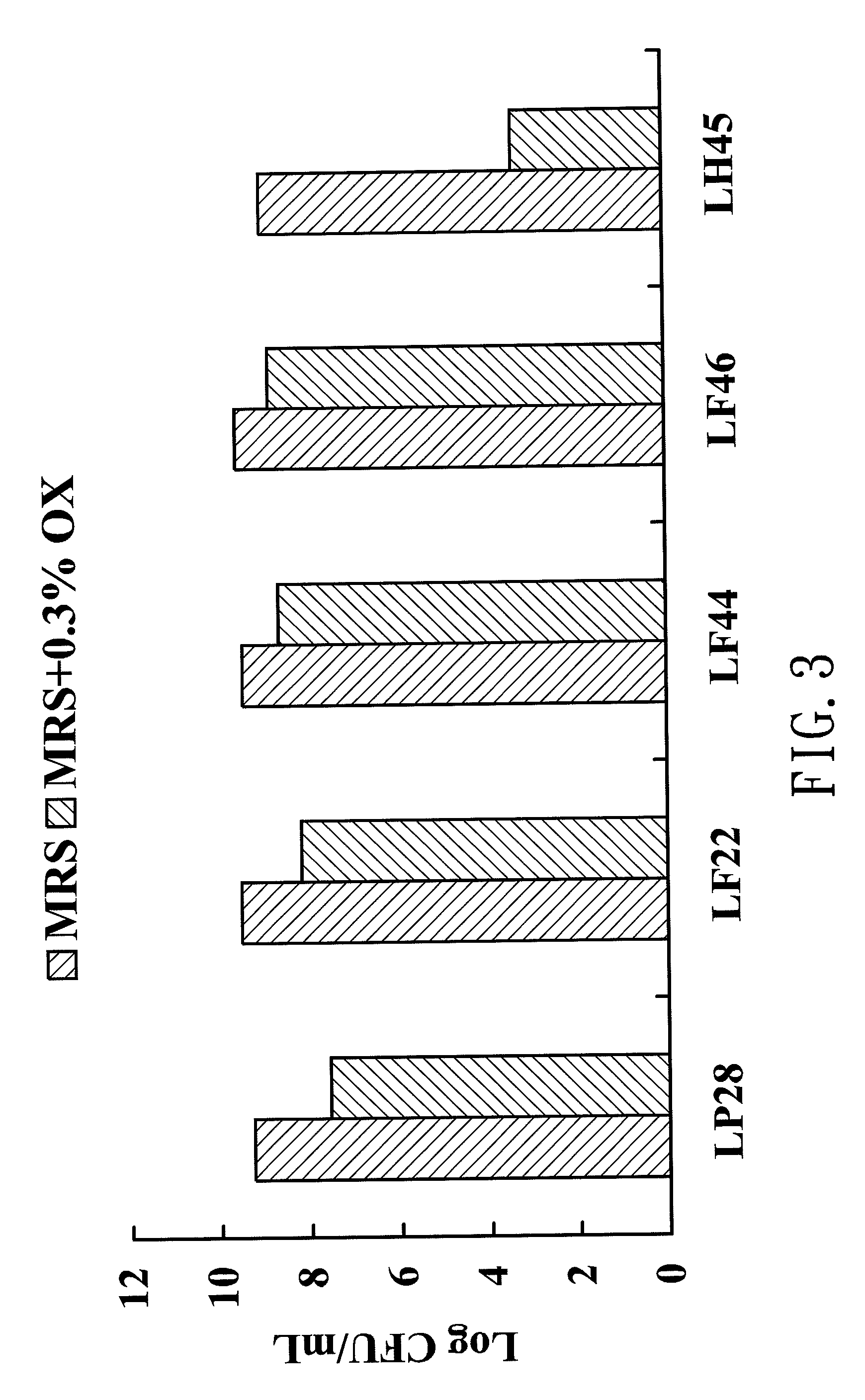 Strain of lactobacillus plantarum lp28 and its use in treating hypersensitivity reactions