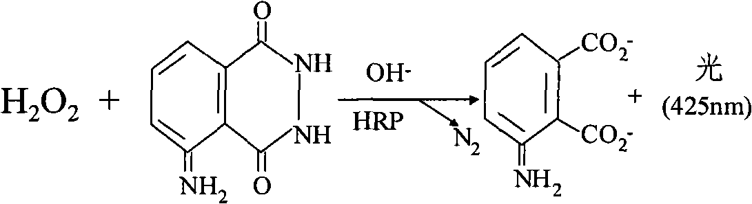 Chemiluminescent substrate liquid applied to detection system taking horseradish peroxidase (HRP) as enzymatic reaction