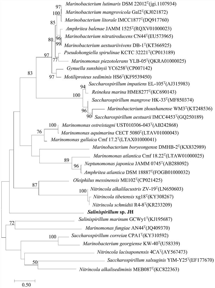 Amide hydrolase SaAH and coding gene and application thereof