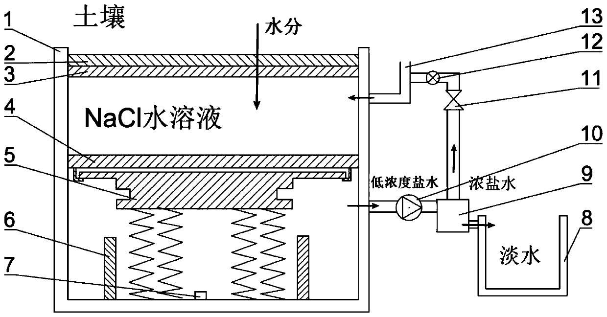 Plant root system imitation water collecting device