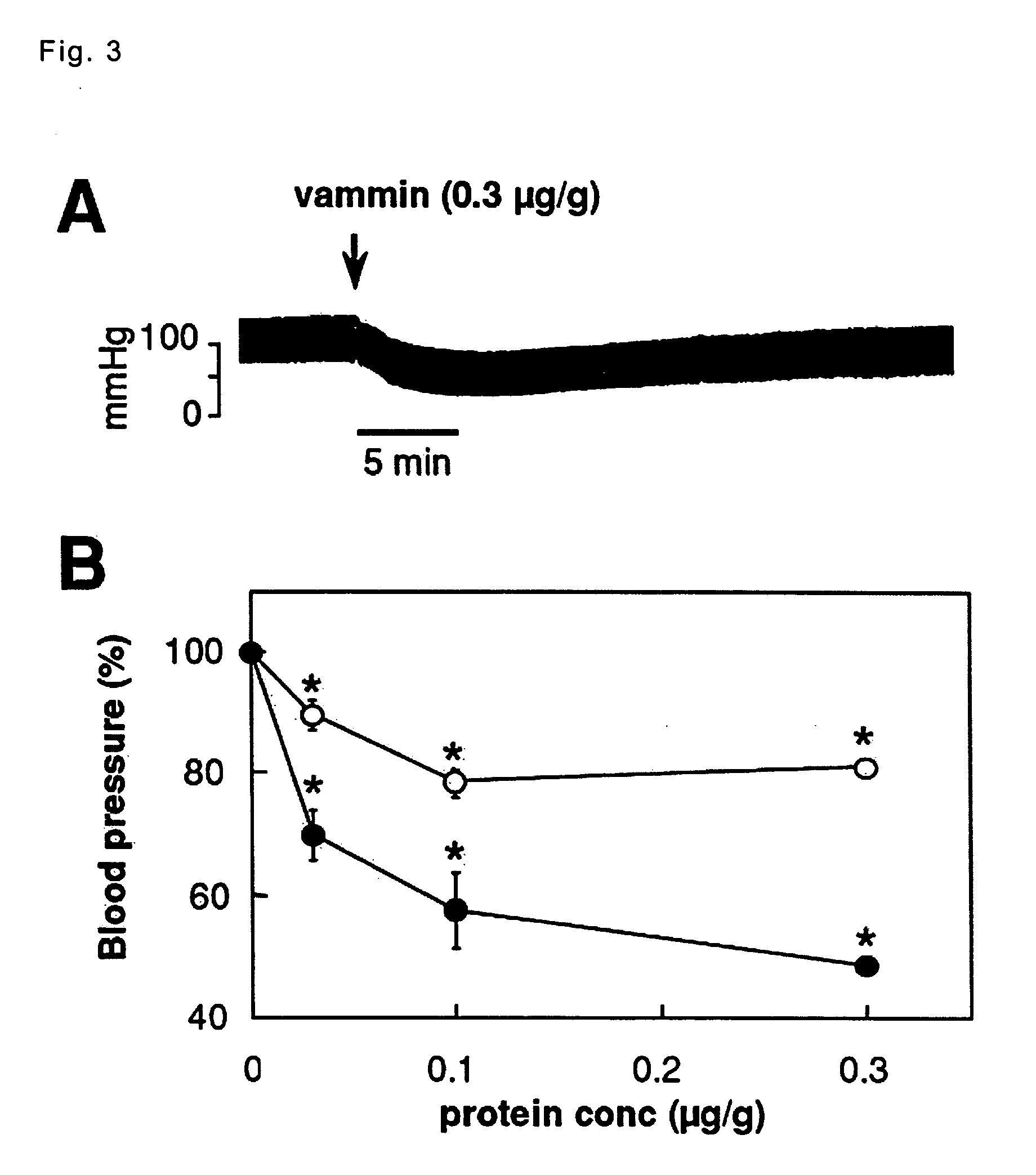 Venom-derived vascular endothelial growth factor-like protein having binding activity specific to vascular endothelial growth factor receptor type 2 and use thereof