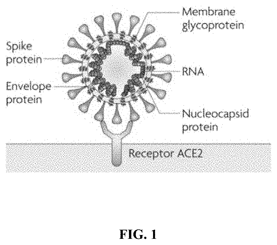 Methods and compositions for inhibiting influenza viruses using low molecular weight hydrophobically modified polymers and polyalkylene glycols