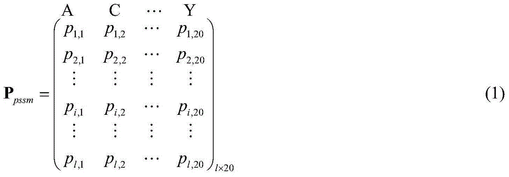 Subspace fusion-based protein-vitamin binding location point predicting method