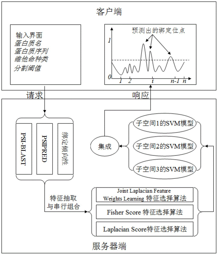 Subspace fusion-based protein-vitamin binding location point predicting method