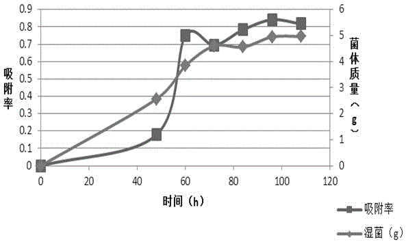 A radiation-resistant Fusarium fungus and its application in biological treatment of adsorbed cesium