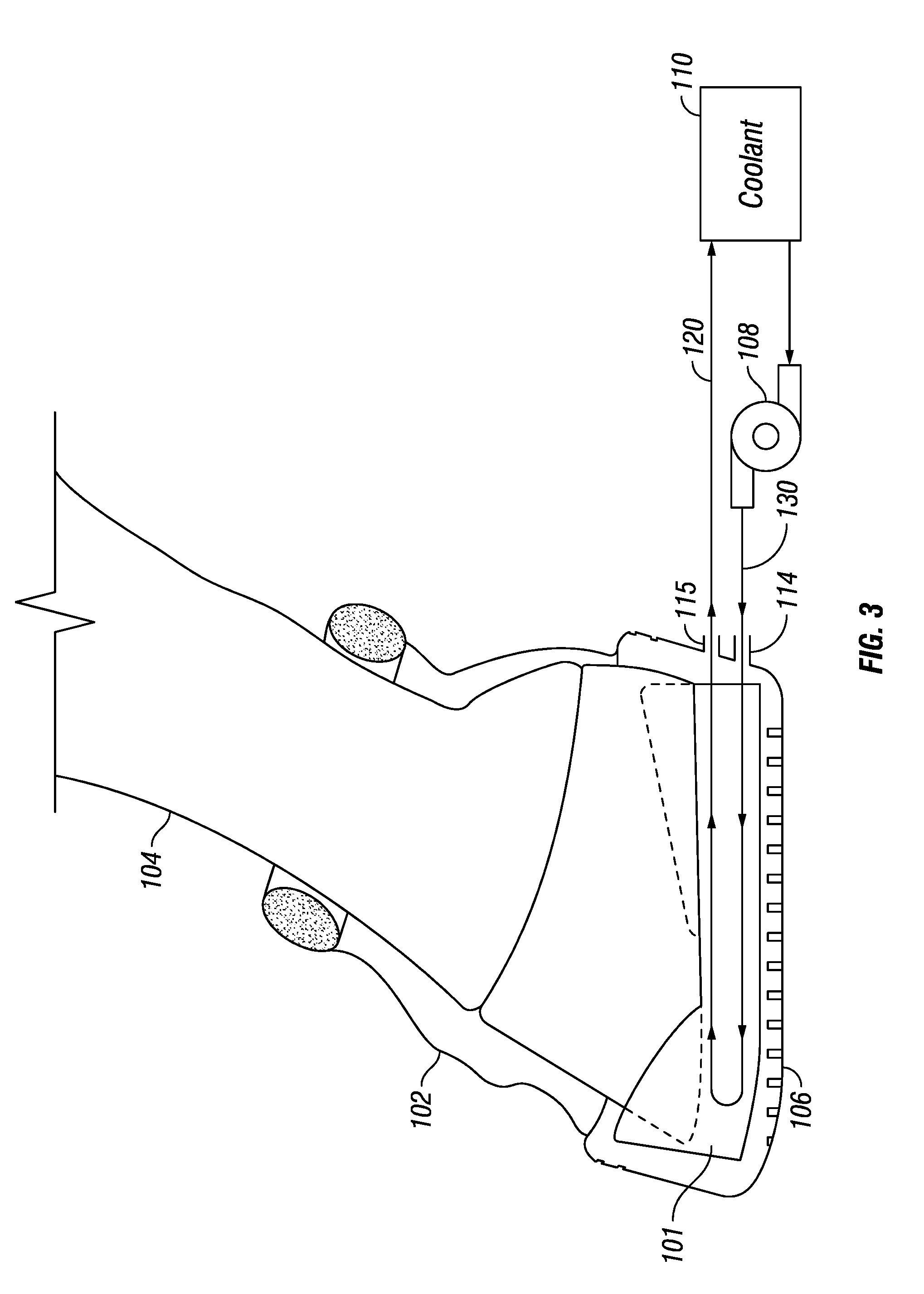 Equine cold therapy apparatus and method