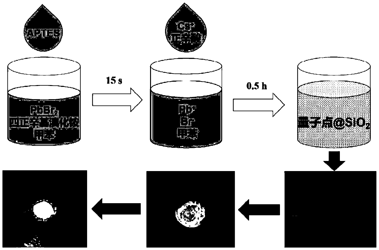 Preparation method of silica-coated all-inorganic perovskite core-shell structure quantum dots