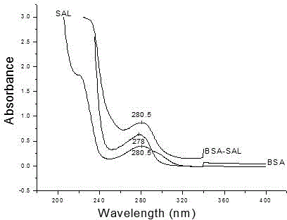 Multi-cluster antigen and wide-spectrum specific antibody of beta-adrenoceptor agonists and application of multi-cluster antigen and wide-spectrum specific antibody