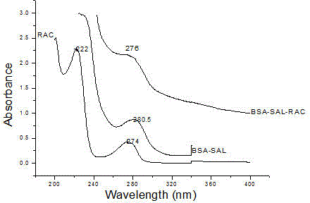 Multi-cluster antigen and wide-spectrum specific antibody of beta-adrenoceptor agonists and application of multi-cluster antigen and wide-spectrum specific antibody