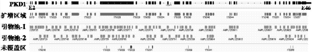 PCR (polymerase chain reaction) primer for amplifying PKD (polystic kidney disease)1 exon ultra-long fragment, kit for detecting PKD1 gene mutation and application