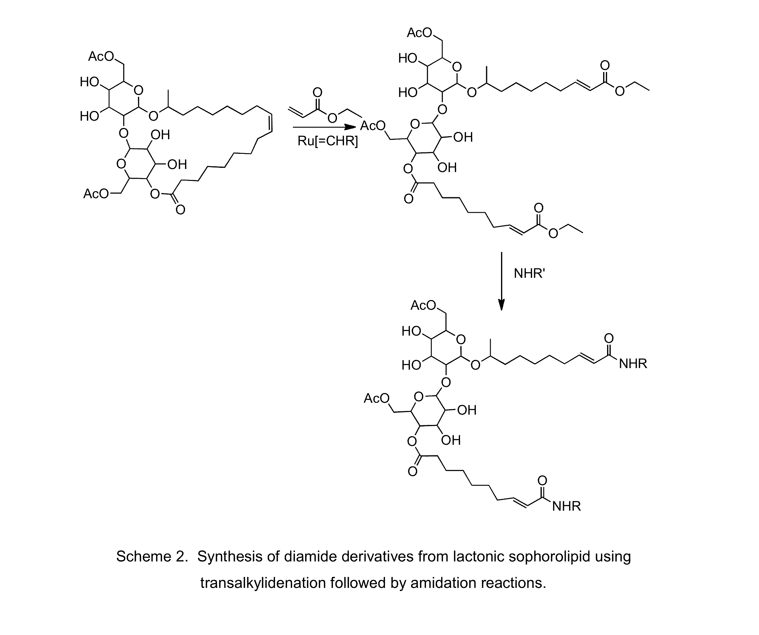 Modified sophorolipids as oil solubilizing agents