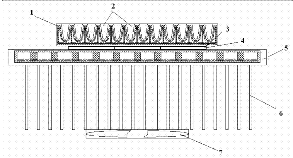 Thermal module for biochemical reaction