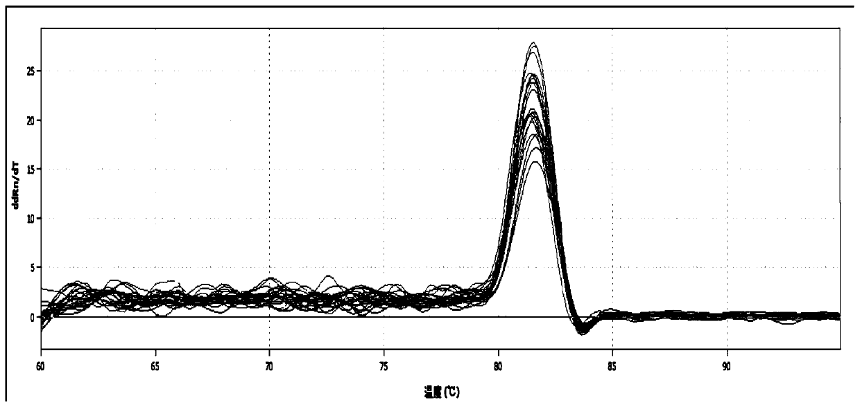 Passiflora internal reference gene and its screening method and application