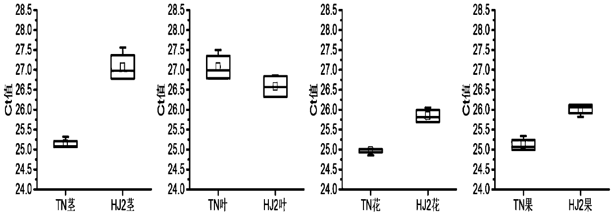 Passiflora internal reference gene and its screening method and application