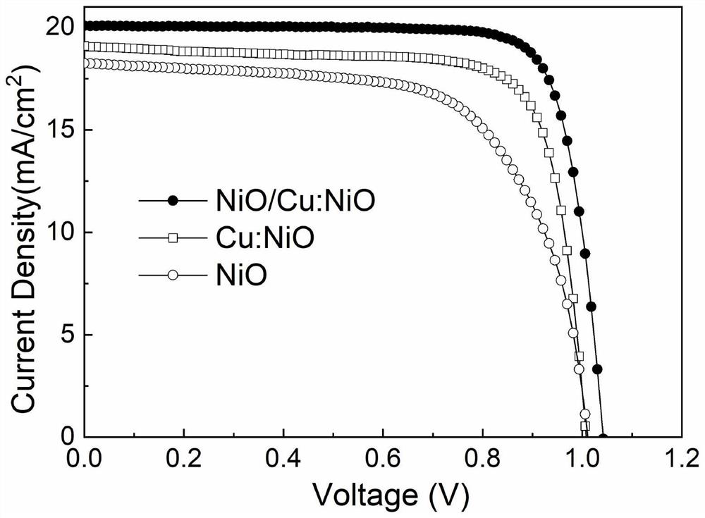 Homojunction charge transfer film for perovskite solar cell