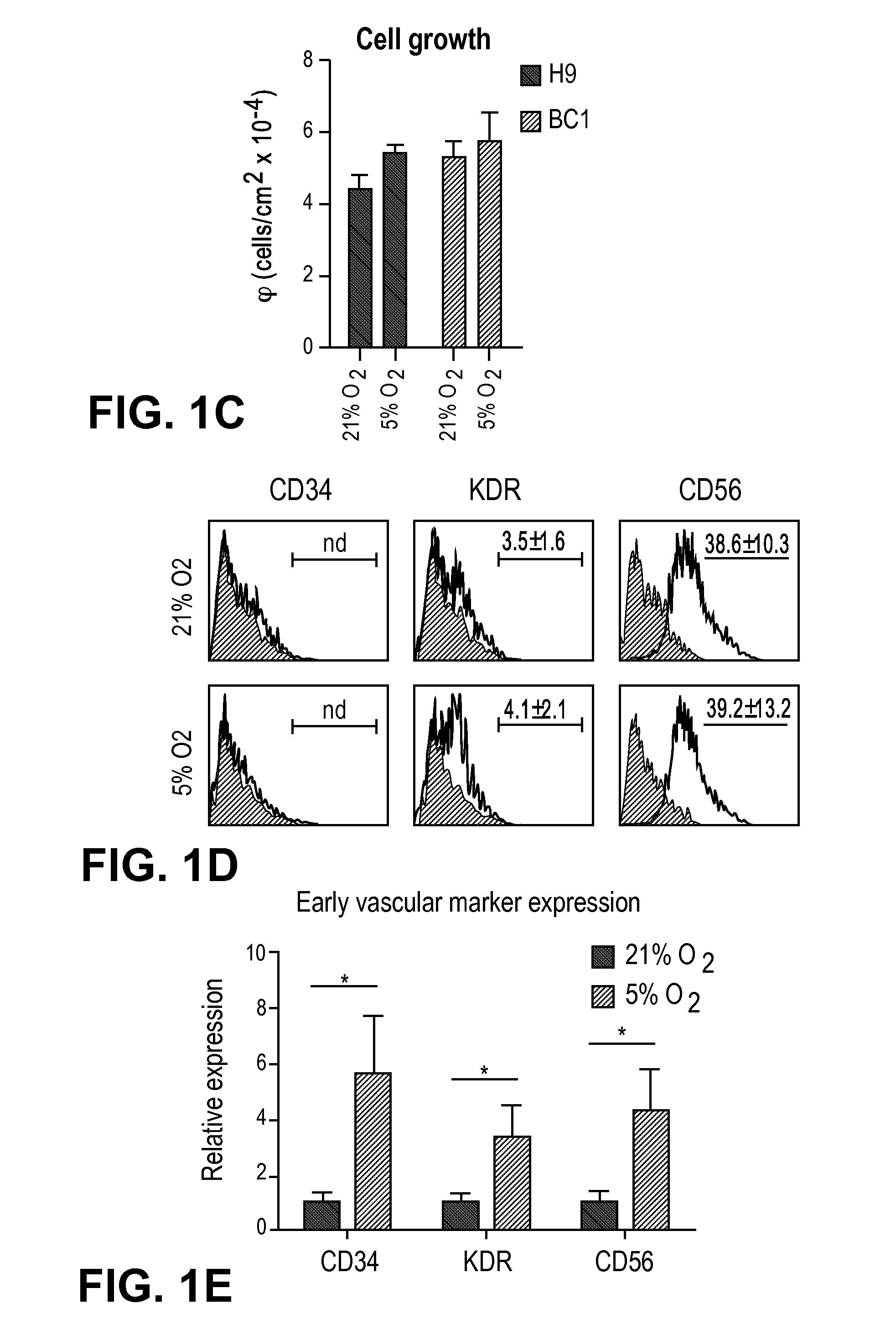 Low oxygen tension enhances endothelial fate of human pluripotent stem cells