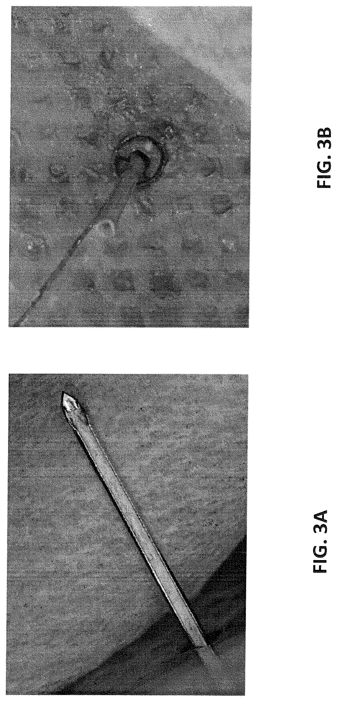 Biocompatible sleeve for glucose sensors