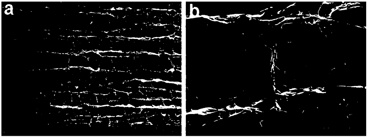 Preparation method of sodium alginate/cattail/graphene oxide composite aerogel