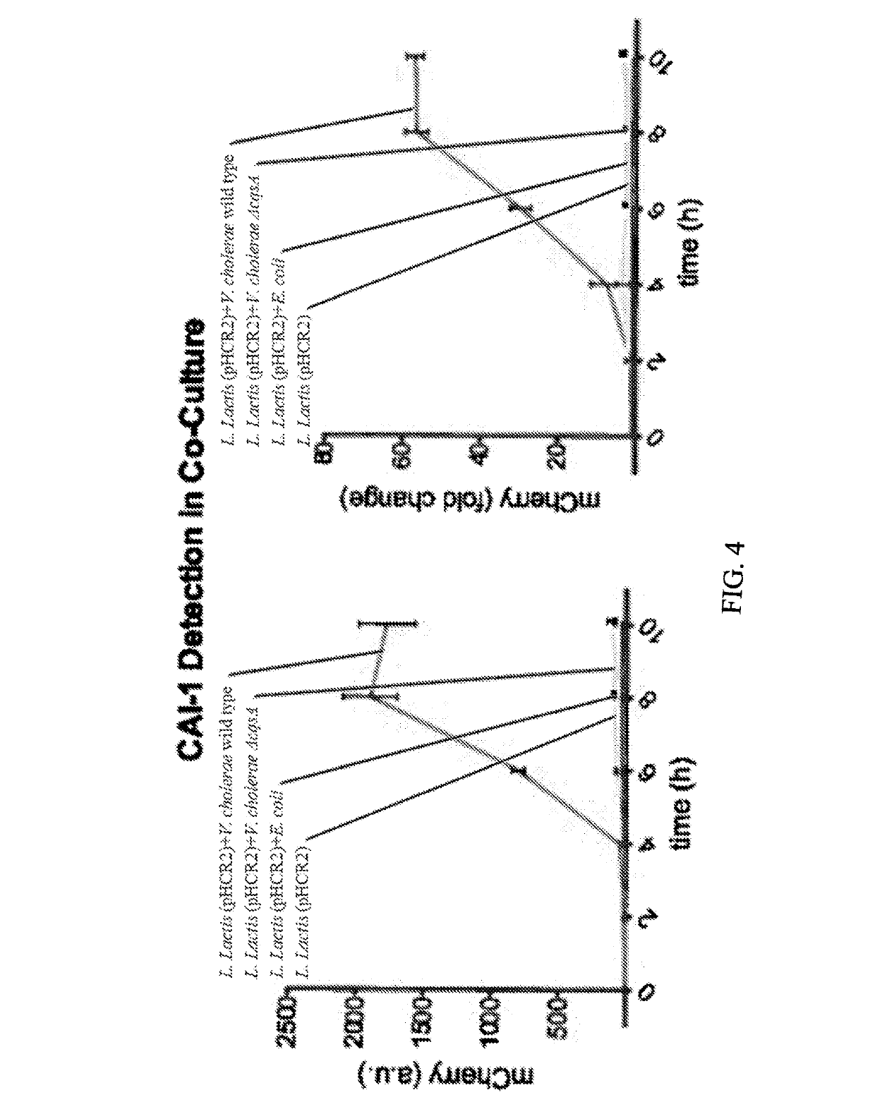 Synthetic hybrid receptor and genetic circuit in bacteria to detect enteric pathogenic microorganisms